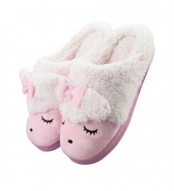 MiYang Winter Womens Indoor Slipper