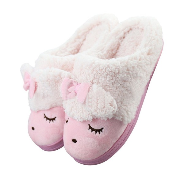 MiYang Winter Womens Indoor Slipper