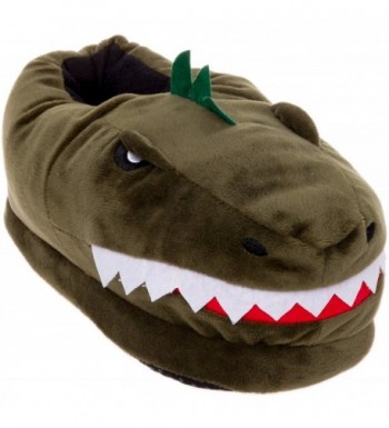 Silver Lilly Dinosaur Slippers Support