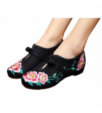 AvaCostume Womens Chinese Embroidery Walking