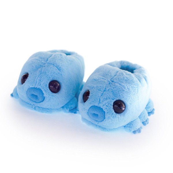 Hashtag Collectibles Water Tardigrade Slippers